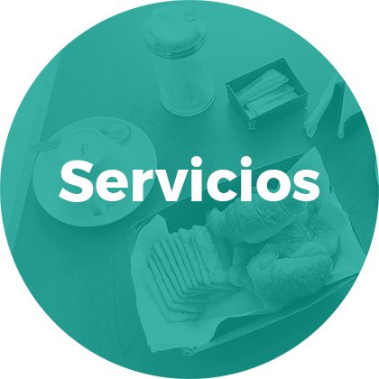 servicios01